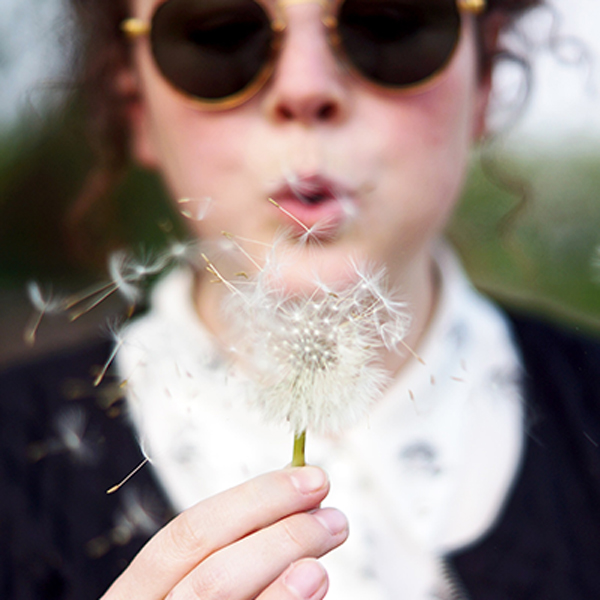 dandelion photo